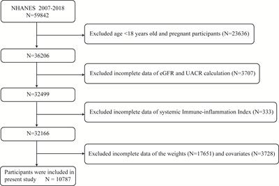 Systemic immune-inflammation Index is associated with chronic kidney disease in the U.S. population: insights from NHANES 2007–2018